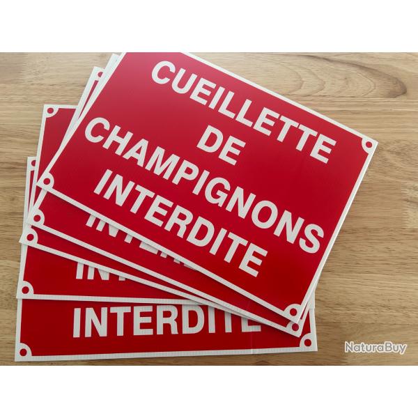 Lot de 5 panneaux Neuf Cueillette Champignons interdite