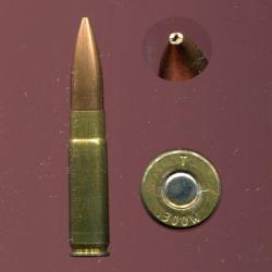 .300 Whisper - longue balle cuivre pointe creuse - marquage : T  300W