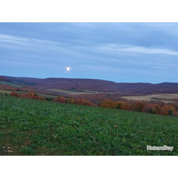 Chasse aff�t