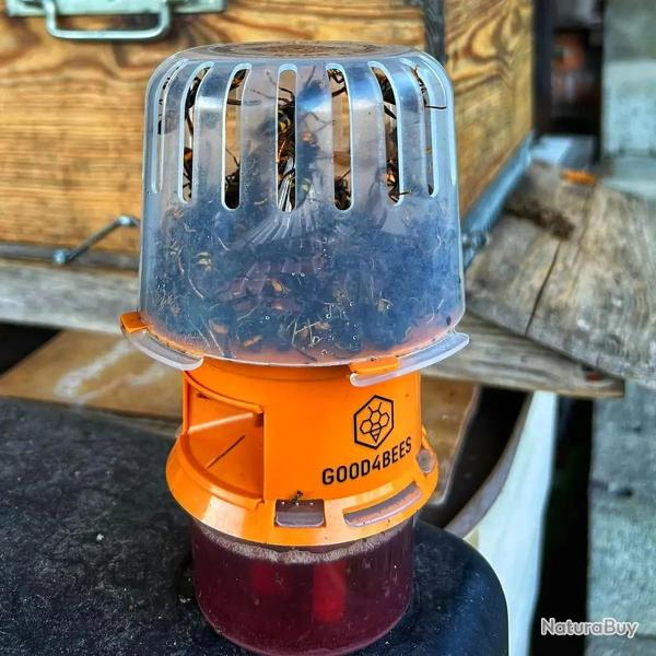 Pi�ge s�lectif V2 Good4Bees pour frelons asiatiques + 2 attractants