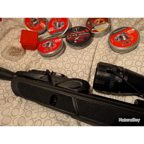 Carabine � plomb gamo 10x
