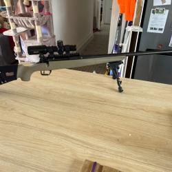 Remington 308