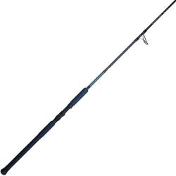 CANNE AMURO 250 (70-200G / 10 PE)