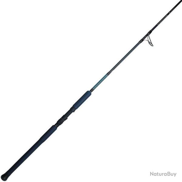 CANNE AMURO 250 (70-200G / 10 PE)