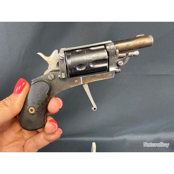 BULLDOG BELGE cal. 6mm velodog