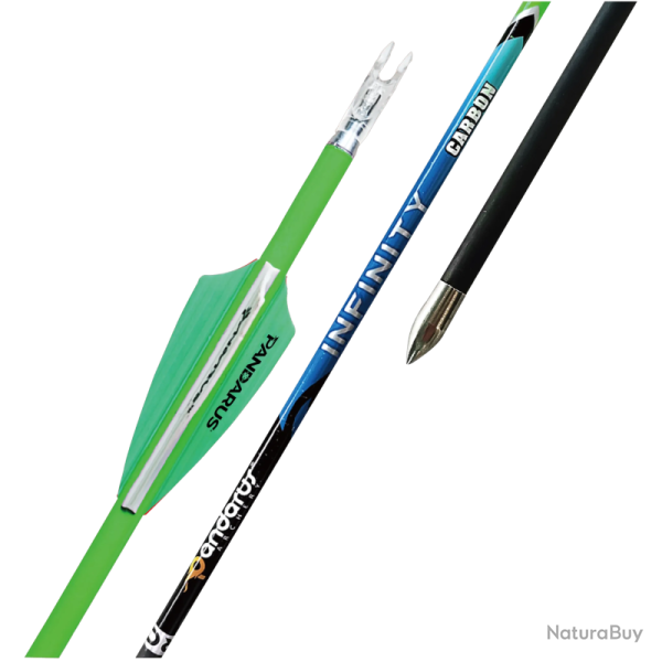 Fl�ches INFINITY x12 - Pandarus - 300
