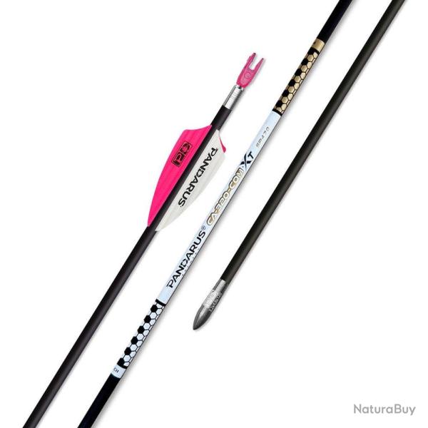 Tube ELITE CA320COMXT x12 - Pandarus - 670
