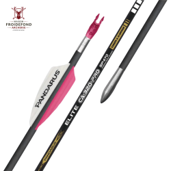 Tube ELITE CA320PRO x12 - Pandarus - 620