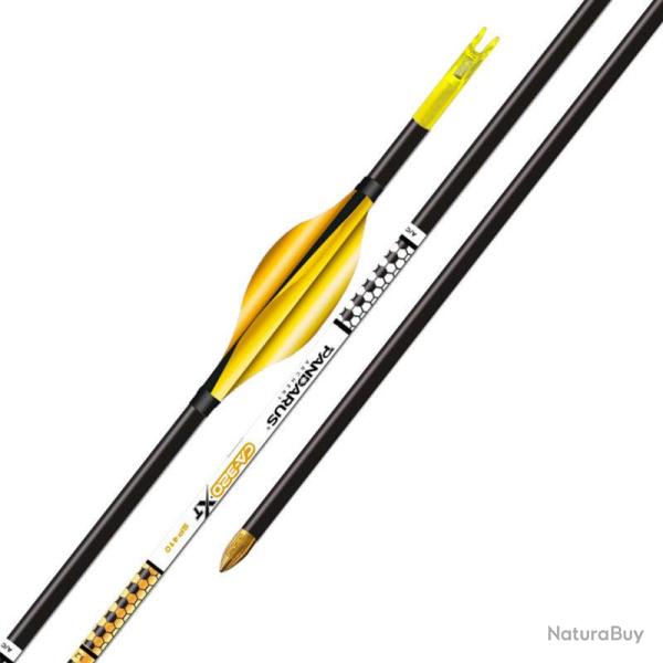 Tube ELITE CA320XT x12 - Pandarus - 550