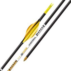 Tube ELITE CA320XT x12 - Pandarus - 325