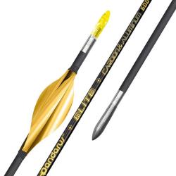 Tube ELITE XT x12 - Pandarus - 750