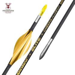 Tube ELITE XT x12 - Pandarus - 700