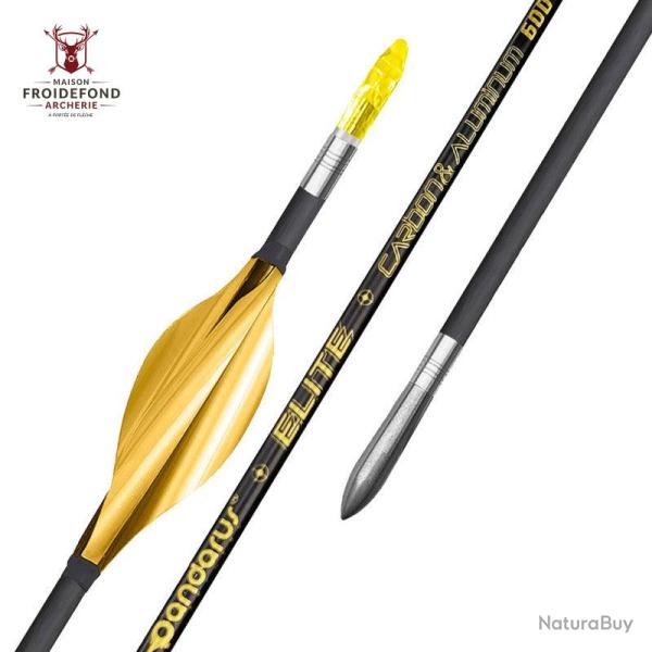 Tube ELITE XT x12 - Pandarus - 400