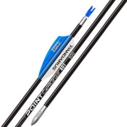 Tube ICEPOINT SILVER x12 - Pandarus - 450