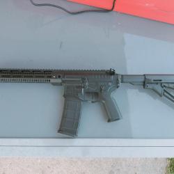 R15 Mod1 long R&D Precision noir Zion Arms