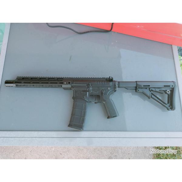R15 Mod1 long R&D Precision noir Zion Arms