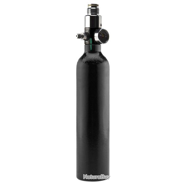 Bouteille Aluminium 0.2L Dye avec r�gulateur 3000 psi