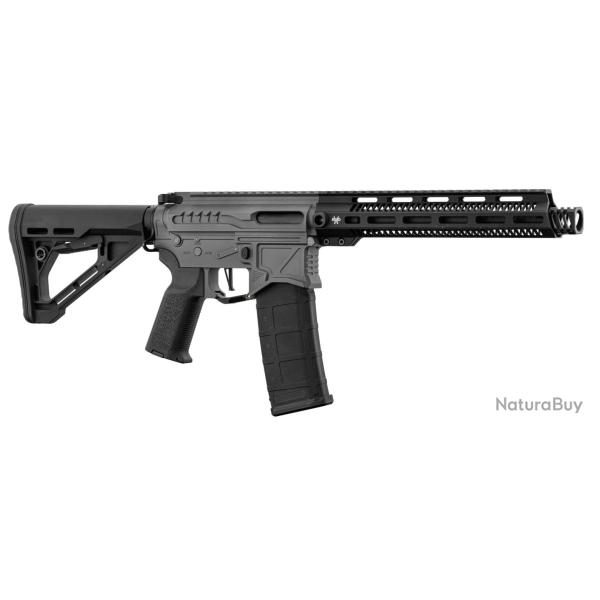 R�plique R15 mod 1 Zion Arms noir/gris garde main long
