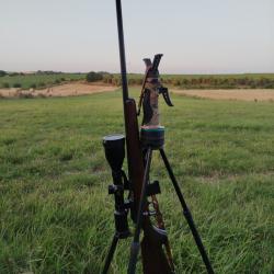Cz 457 american cal 17 hmr