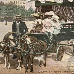 Carte Postale Ancienne - Lyon. La voiture aux ch&egrave;vres - N&deg;8301