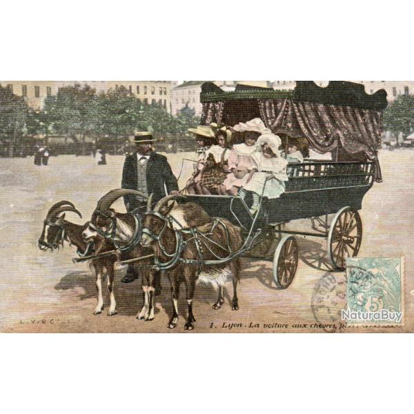Carte Postale Ancienne - Lyon. La voiture aux ch�vres - N�8301