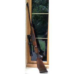 Carabine Mauser 66 S