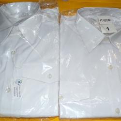 LOT DE 2 CHEMISES BLANCHES DE SORTIE DE L'ARMEE DE TERRE DE L'ARMEE FRANCAISE ,TAILLE 37/38 AVEC PET