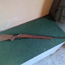 Carabine Tikka 243 win