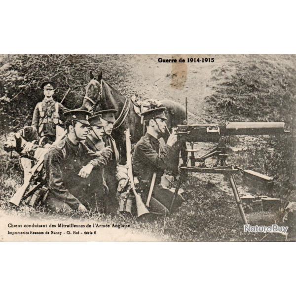 Carte Postale Guerre de 1914-1915 Chiens conduisant des Mitrailleuses  -N�8304