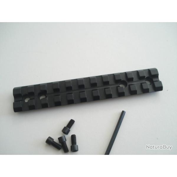 Rail picatinny pour Ruger 10/22