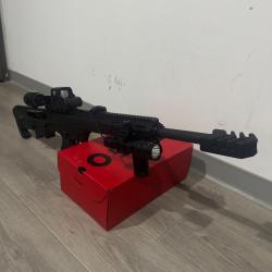 Fusil fd12 pompe cat C