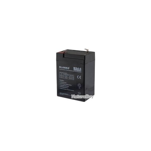 BATTERIE RECHARGEABLE MS4-6 6 VOLTS