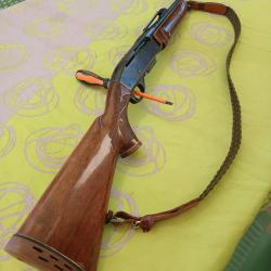 Carabine remington 7400