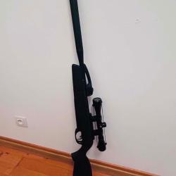 Carabine &agrave; plomb maxxim gamo 20j