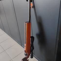Carabine Walther Equip&eacute;e lunette