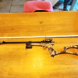 Carabine cp 2 4.5 mm plombs