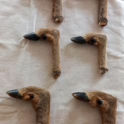 Lot de 6 pattes de chevreuil / biche naturalis&eacute;es