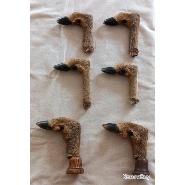 Lot de 6 pattes de chevreuil / biche naturalis�es