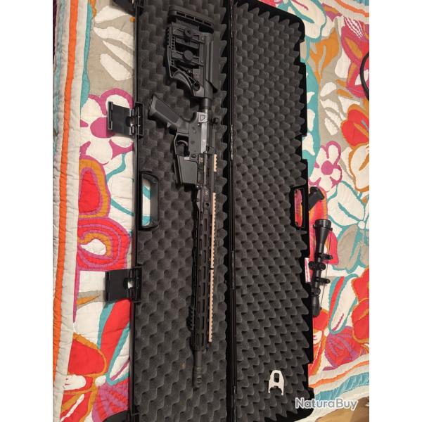Ar15 300 blackout cat c