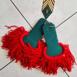 Paire d'epauli&egrave;re l&eacute;gion &eacute;trang&egrave;re Indochine