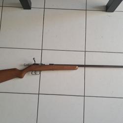 Carabine 22 long rifle