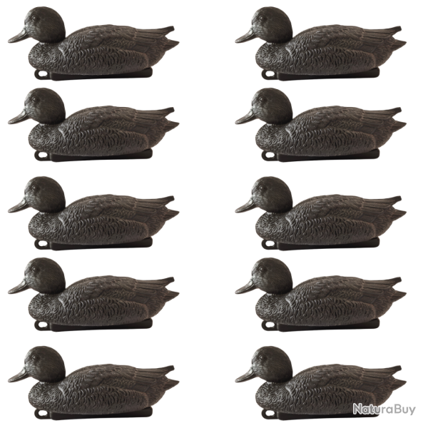 Formes de canard siffleur mouss�s noirs - CHASSE EN CAMARGUE