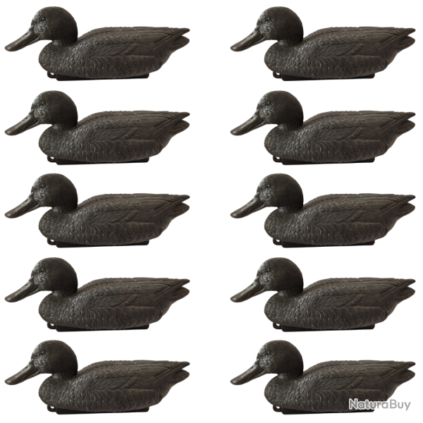 Formes de canard souchet mouss�s noirs - CHASSE EN CAMARGUE