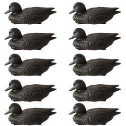 Forme de sarcelle mouss&eacute;es noires - CHASSE EN CAMARGUE