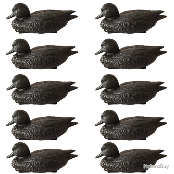 Forme de sarcelle mouss�es noires - CHASSE EN CAMARGUE