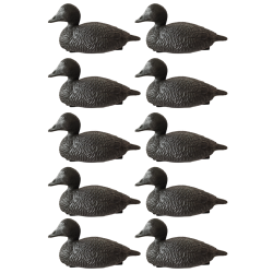 Forme d'eider noire x10