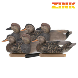 Formes de canard chipeau - ZINK
