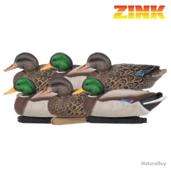 Formes de canard colvert - ZINK