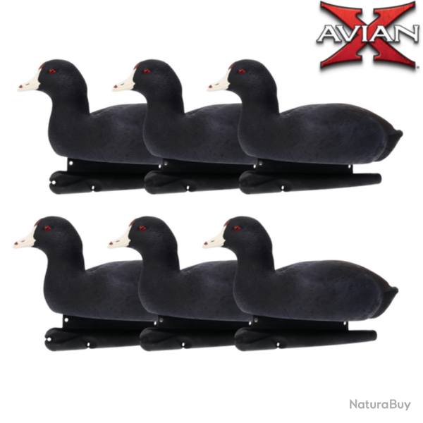 Formes de foulques TOPFLIGHT - AVIANX
