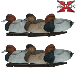 Formes de canard milouin TOPFLIGHT - AVIANX